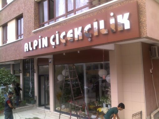  alpin çiçekçilik